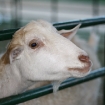 2010-07-24 (223)